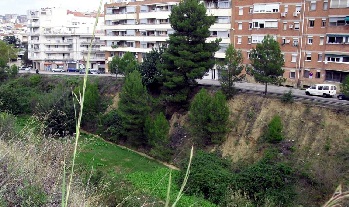 El Ayuntamiento pone en marcha una campaña de limpieza de la vegetación de las rieras y torrentes